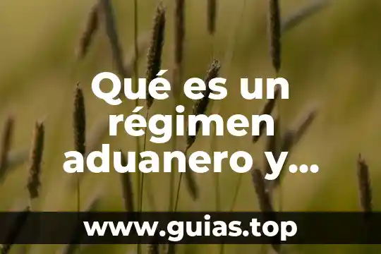 Que es cardinalidad y tipos de cardinalidad que existen 3 Qué es un régimen aduanero y cuáles existen