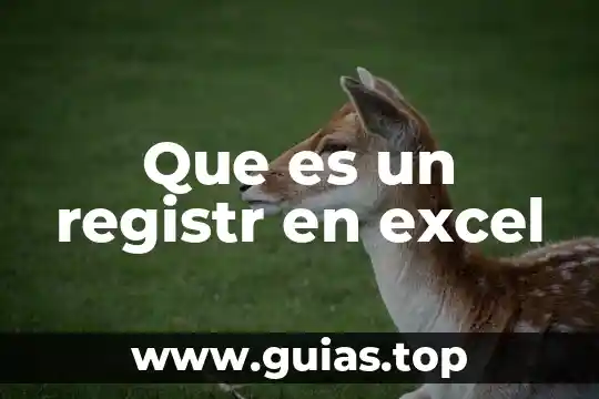Que es una referencia mixta en microsoft excel 3 Que es un registr en excel