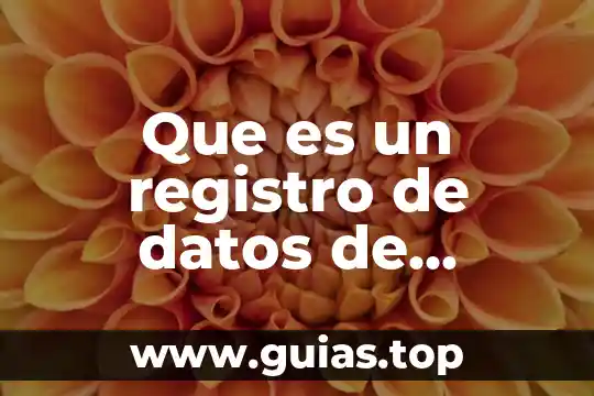 ¿Qué es el número de registro de la UDA? 8 Que es un registro de datos de auditoria