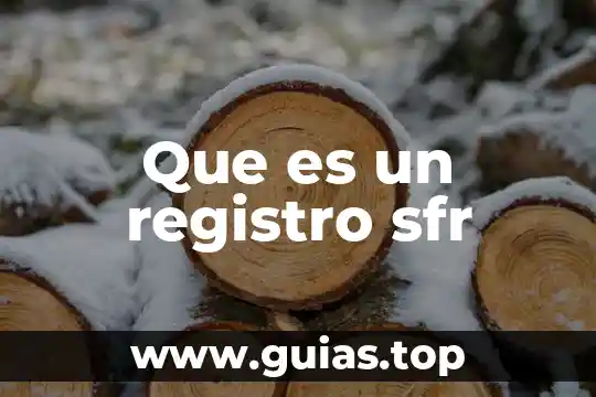 Que es clave de registro 3 Que es un registro sfr