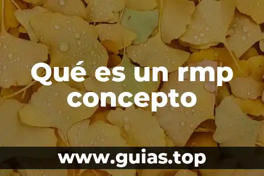 Que es el liderazf o concepto psicologico 8 Qué es un rmp concepto