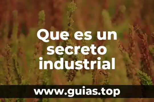 Que es el codigo secreto de la biblia 4 Que es un secreto industrial