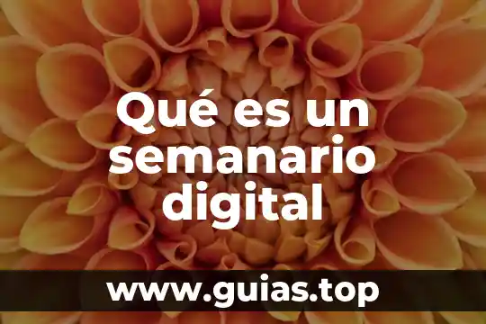 Que es una prueba 300 en sangre 8 Qué es un semanario digital