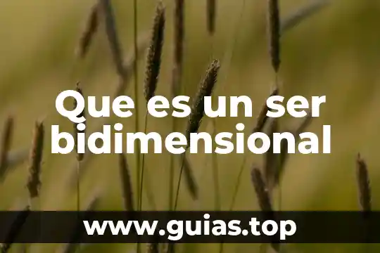 Qué es ser autodidactas 7 Que es un ser bidimensional