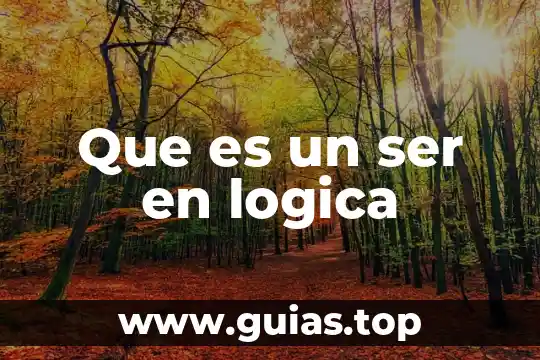 Qué es un argumento principal en lógica 7 Que es un ser en logica