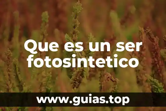 Que es ser genial 8 Que es un ser fotosintetico
