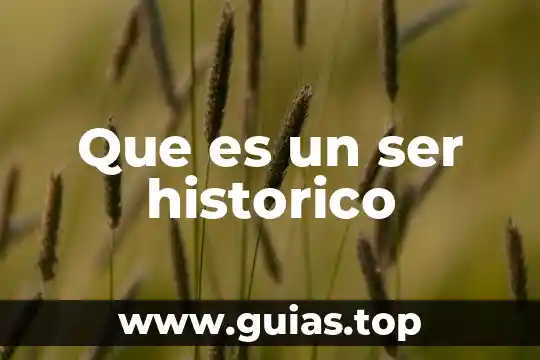 Que es la respiracion concepto historico 3 Que es un ser historico