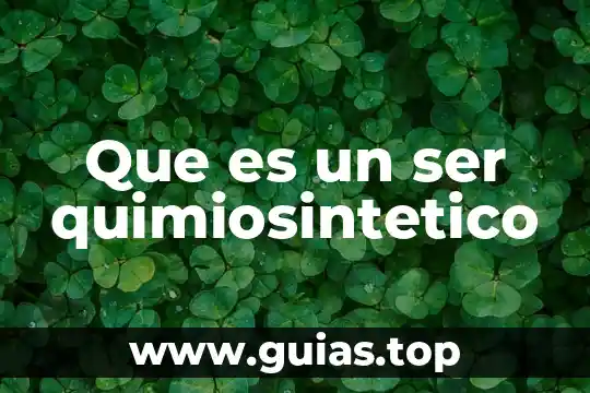 Que es ser no nato 6 Que es un ser quimiosintetico