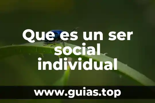 Que es la justicia social y como se aplica 4 Que es un ser social individual