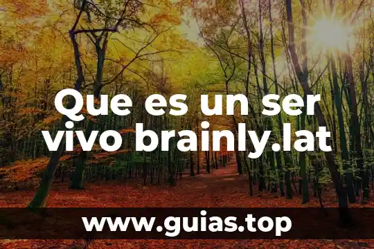 Que es ser backend 8 Que es un ser vivo brainly.lat
