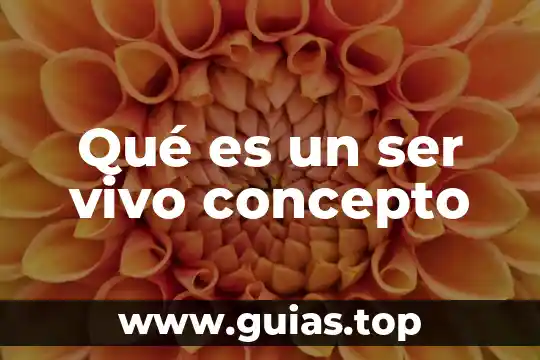 Que es ser trascendente 4 Qué es un ser vivo concepto