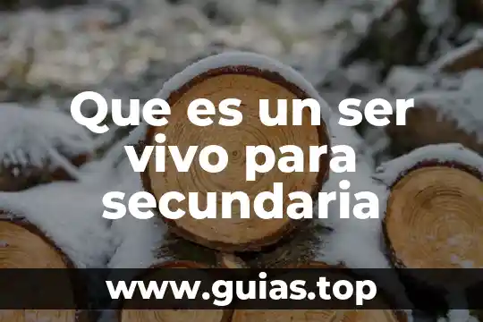 Que es ser una secretaria ejecutiva gerencial 5 Que es un ser vivo para secundaria