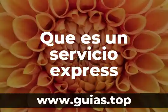 Que es un servicio express