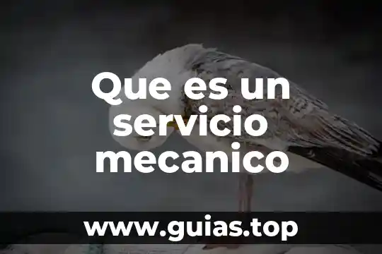 Que es un servicio mecanico
