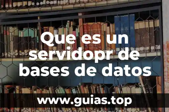 Google que es un juez de control 4 Que es un servidopr de bases de datos