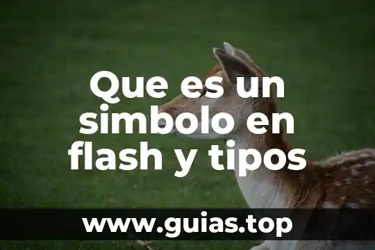 Que es la velocidad tipos de velocidad 4 Que es un simbolo en flash y tipos
