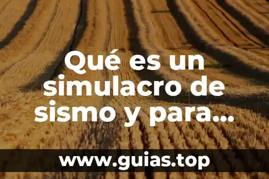 Que es y para que sirve la aplicacion my sql 4 Qué es un simulacro de sismo y para qué sirve