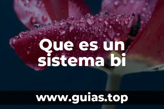 Que es un sistema de descanso 4 Que es un sistema bi