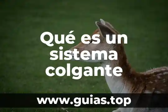 Sistema cultural-ambiental que es 7 Qué es un sistema colgante