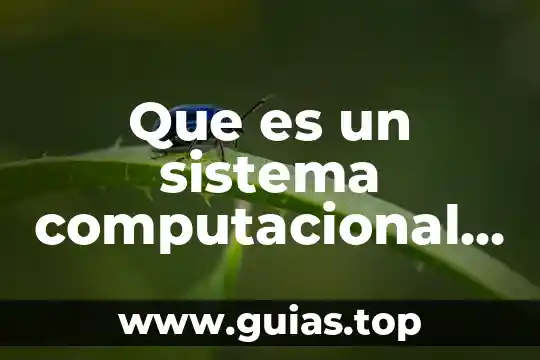 Que es lógica computacional 3 Que es un sistema computacional y componentes