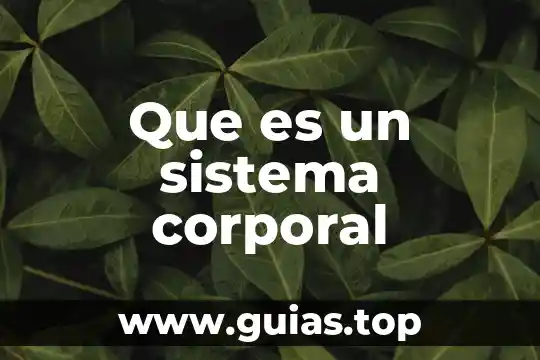 Que es concepto de higiene corporal 5 Que es un sistema corporal