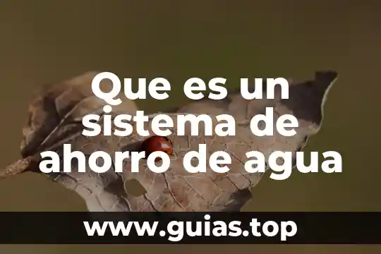 Que es ahorro en contabilidad 3 Que es un sistema de ahorro de agua