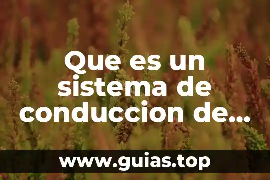 Qué es conducción del balón y tipos 3 Que es un sistema de conduccion de agua