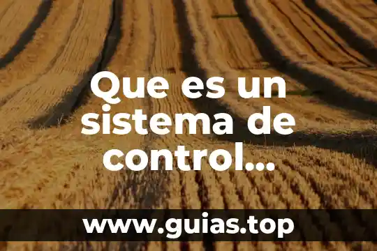 Que es un sistema de control jurisdiccional