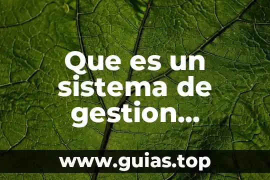 Que es gestion convencional 5 Que es un sistema de gestion medioambiental