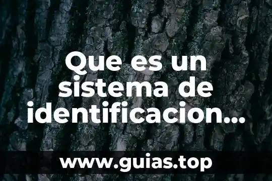 Que es una reaaccion quimicas reversible 6 Que es un sistema de identificacion de sustancias quimicas