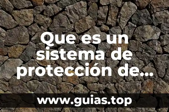 Que es la academia mexicana de derechos humanos 3 Que es un sistema de protección de los derechos humanos