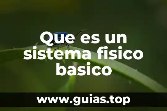 Que es valor posicional tercero basico 4 Que es un sistema fisico basico