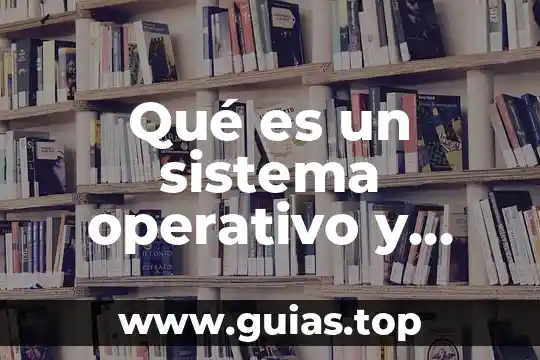 Qué es un cuadrilátero y cuántos tipos hay 8 Qué es un sistema operativo y cuántos hay