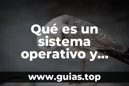 Que es un verbo operativo yahoo 3 Qué es un sistema operativo y cuántos tipos existen