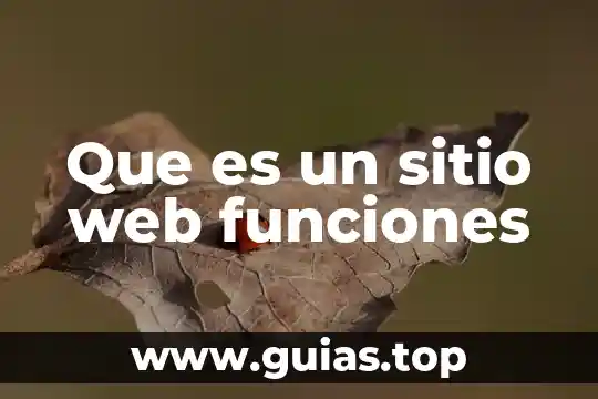 Que es velocidad tipos 3 Que es un sitio web funciones
