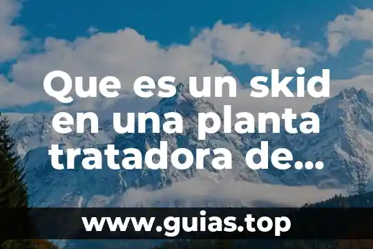 Por que es importante tomar agua todos los dias 4 Que es un skid en una planta tratadora de agua
