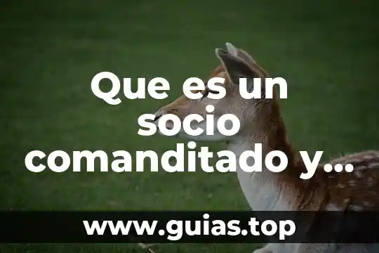 Qué es faltas definición 8 Que es un socio comanditado y comanditario definicion
