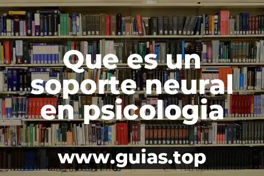 Que es un soporte neural en psicologia