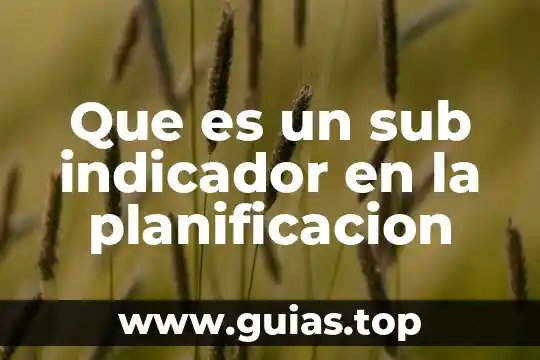 Que es un indicador en el concepto quimica 5 Que es un sub indicador en la planificacion