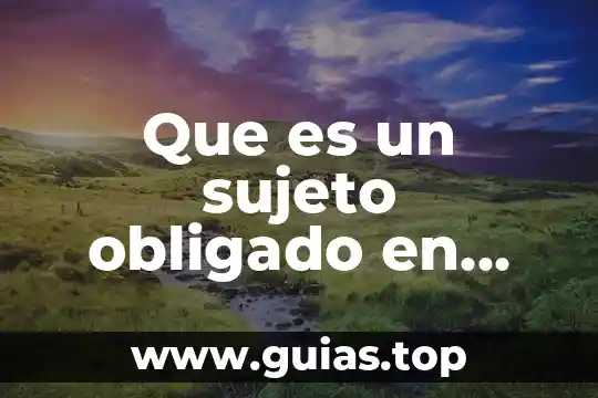 Que es el concepto sotobosque 3 Que es un sujeto obligado en terminos de transparencia