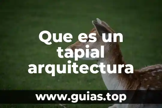 Que es abigarrado en arquitectura 5 Que es un tapial arquitectura