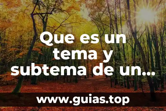Qué es un concepto importante de algún tema 8 Que es un tema y subtema de un texto