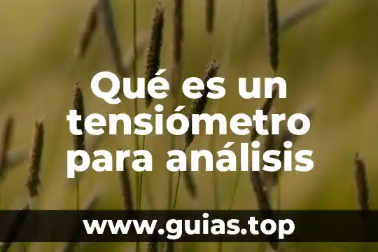 Análisis interno de una empresa que es 3 Qué es un tensiómetro para análisis