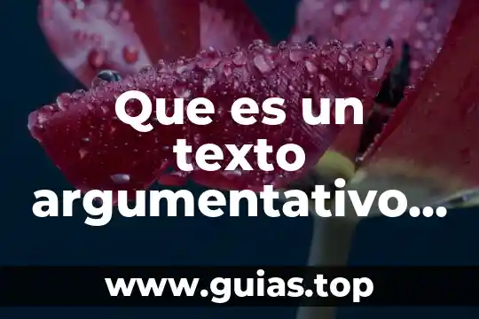 Que es un texto y su estructura 3 Que es un texto argumentativo estructura