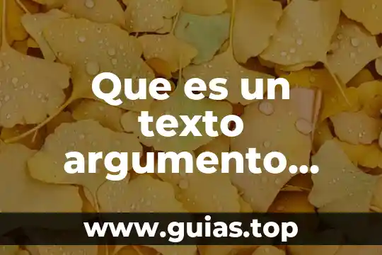 Que es un diagrama de flujo en informatica caracteristicas 5 Que es un texto argumento artigacutivo y sus caracteristicas