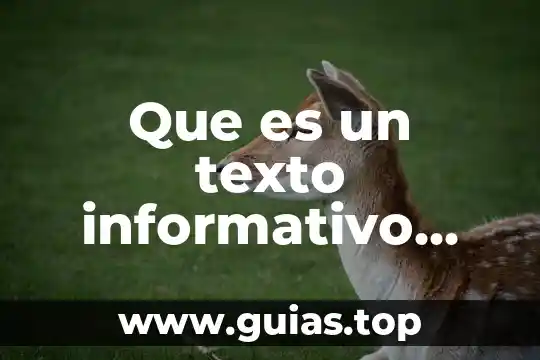 Que es un articulo informativo ciencias de la comunicacion 6 Que es un texto informativo español 2do grado