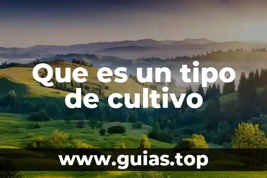 Línea de distribución de agua qué es 8 Que es un tipo de cultivo