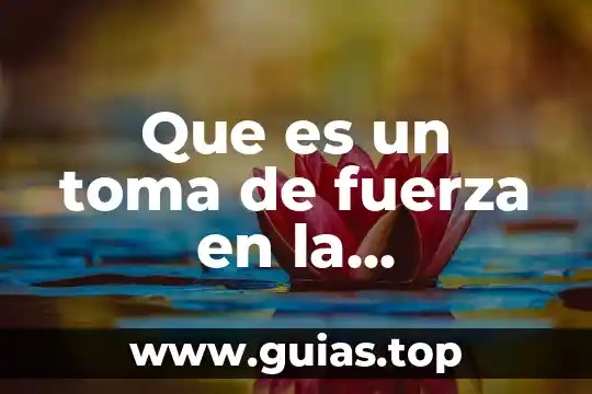Número de toma que es 3 Que es un toma de fuerza en la acuariofilia