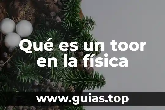 Que es una planta purificadora de agua proyecto 6 Qué es un toor en la física
