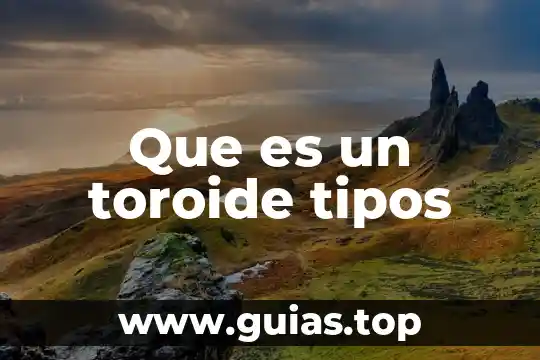Tipos de menú que es el menú de especialidad 4 Que es un toroide tipos